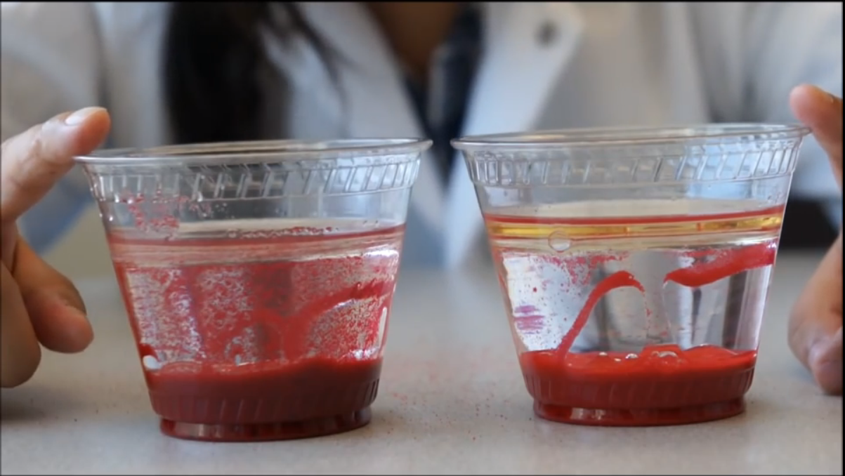 Oil Spill Clean Up Simulation NISE Network